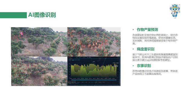 一品一碼農(nóng)產(chǎn)品溯源系統(tǒng)